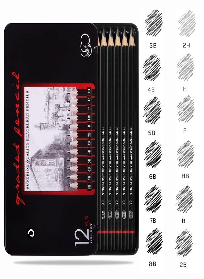 DaKos Sketch Pencil Set, Sketch Pencil Set for Artists, Drawing Art Pencils, Artists Beginner Sketching, Drawing Supplies for Adults & Kids, Art Pencils (12 Pencils Set in Tin Box) - Image 2